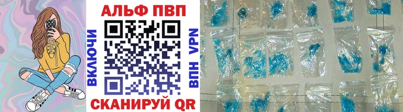 закладки  Старая Русса  APVP СК 