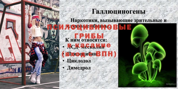 PSILOCYBIN Абаза