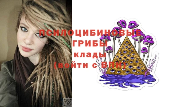 герыч Алексин