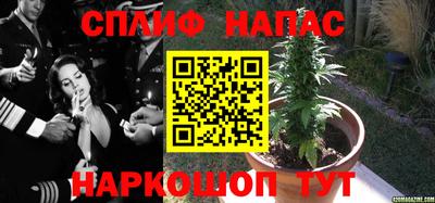 COCAINE Аша