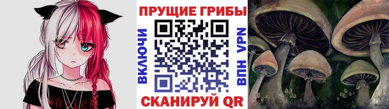 MEGA ссылки  Старая Русса  Псилоцибиновые грибы прущие грибы 