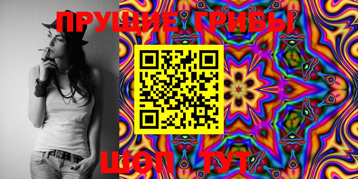 Псилоцибиновые грибы Cubensis Старая Русса